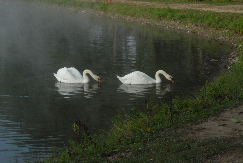 Poconos_2007_0141